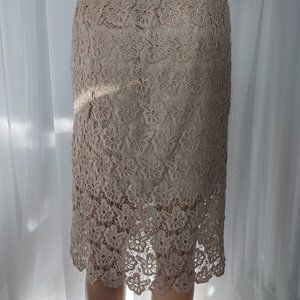 Alice Blue Taupe embroidered lace midi pencil skirt size M